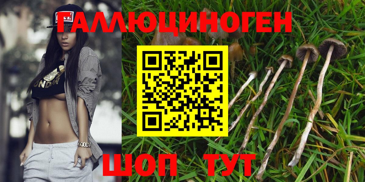 Галлюциногенные грибы мухоморы Зима