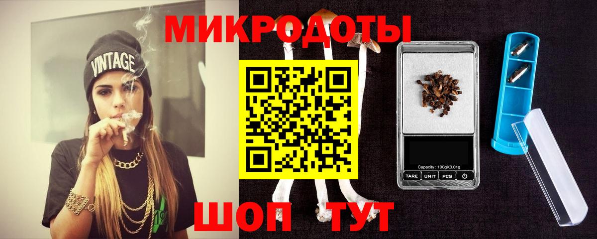 Зима  Галлюциногенные грибы Psilocybe  Вход с VPN  Псилоцибиновые грибы мухоморы 